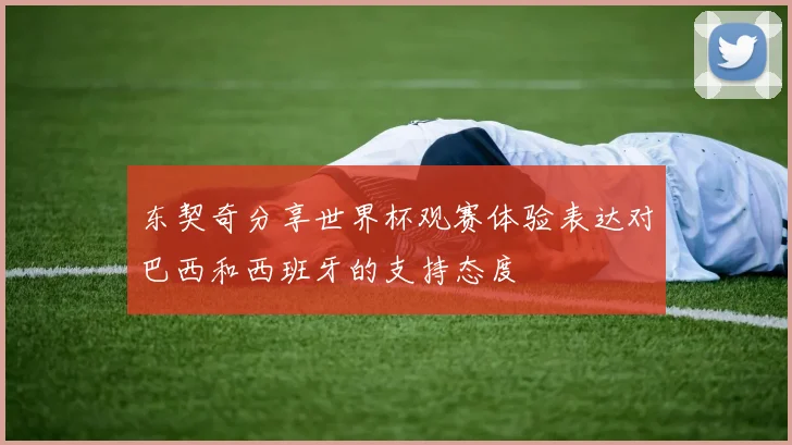 东契奇分享世界杯观赛体验表达对巴西和西班牙的支持态度