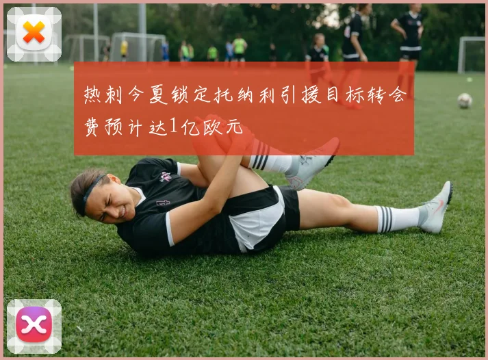 热刺今夏锁定托纳利引援目标转会费预计达1亿欧元